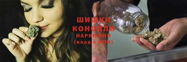 ешки Алзамай