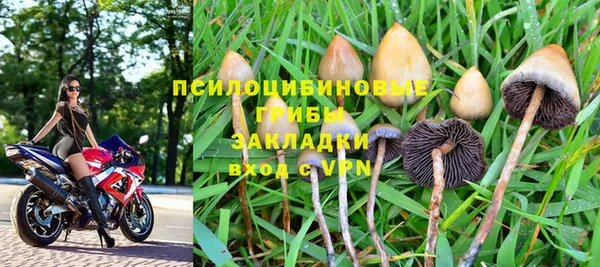 ешки Алзамай