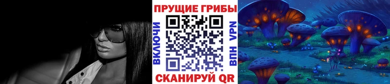 Галлюциногенные грибы Magic Shrooms  купить наркоту  Кизилюрт 