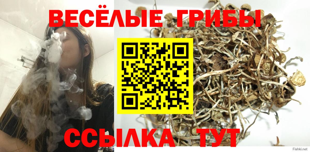 Галлюциногенные грибы мухоморы  Вход с VPN  Кизилюрт 
