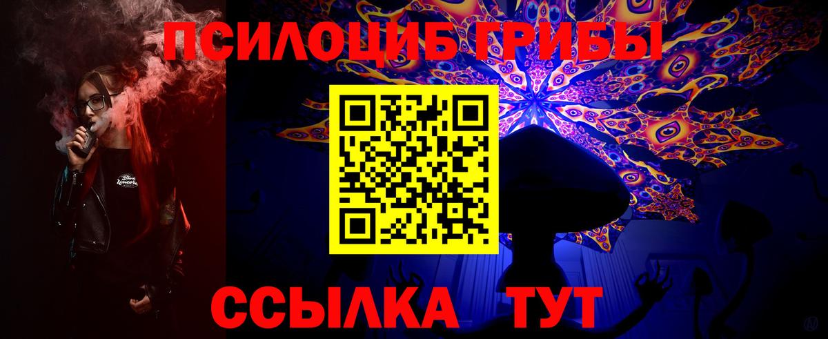 Галлюциногенные грибы прущие грибы Кизилюрт